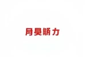 演唱会退票群像封面：场馆外排队等待的观众剪影