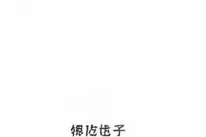 剧组盒饭事件封面：片场休息区摆放的成排餐盒